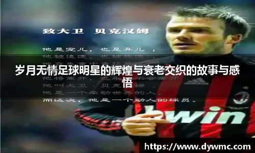 金年会金字招牌